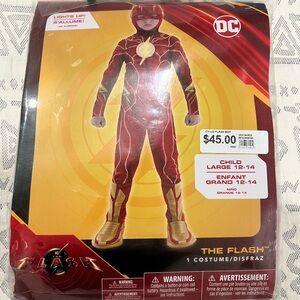 DC Comics The Flash Costume